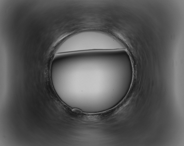 X0000086941453200704161024