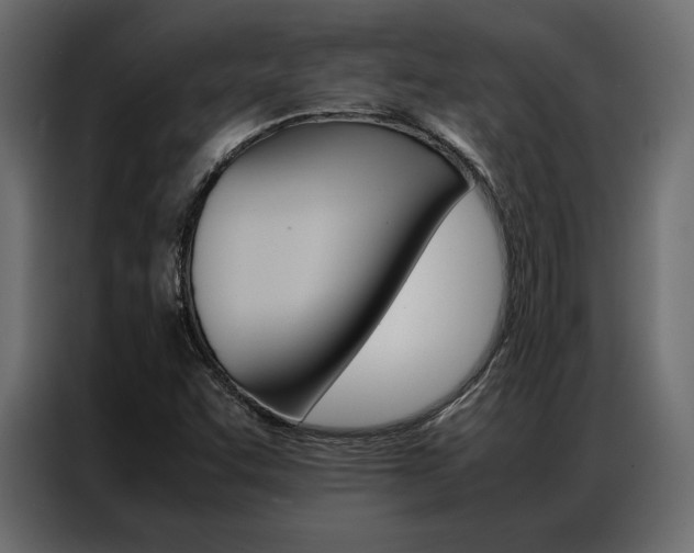 X0000086941455200704161024