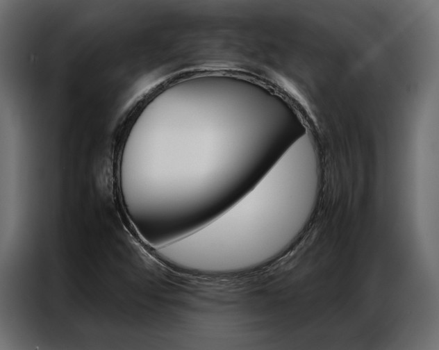 X0000086941456200704161024