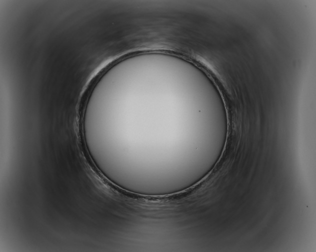 X0000086941460200704161024