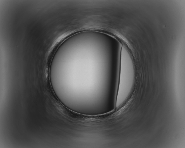 X0000086941461200704161024