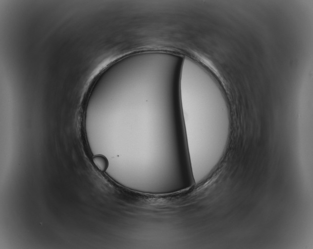 X0000086941463200704161024