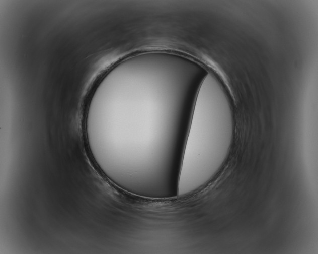 X0000086941464200704161024