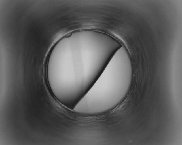 X0000086941467200704161024