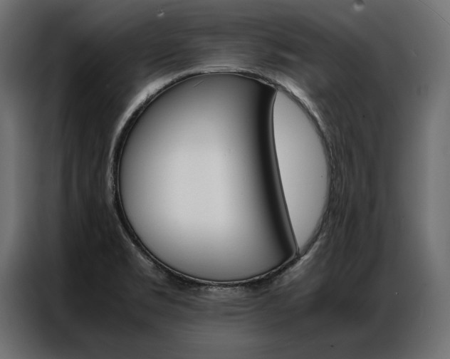 X0000086941469200704161024