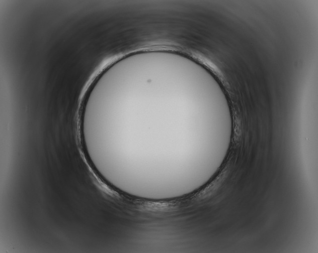 X0000086941470200704161024
