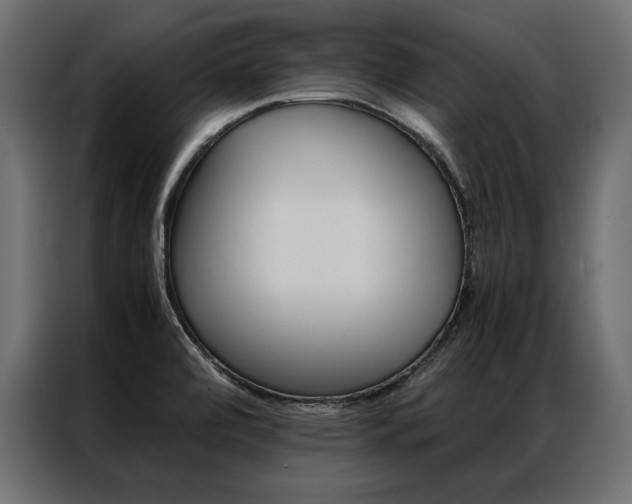 X0000086941472200704161024