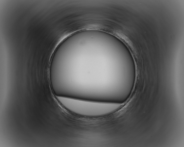 X0000086941473200704161024