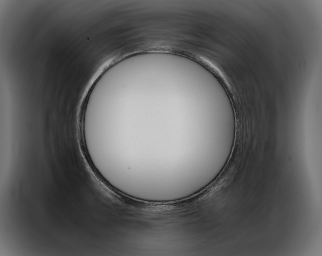 X0000086941475200704161024