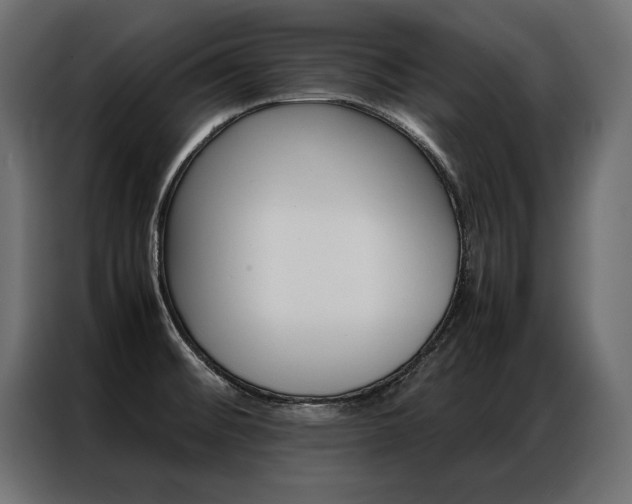 X0000086941476200704161024
