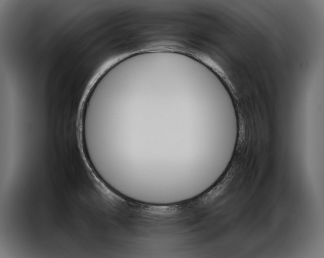 X0000086941478200704161024