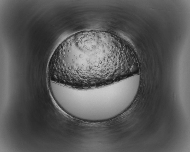 X0000086941479200704161024