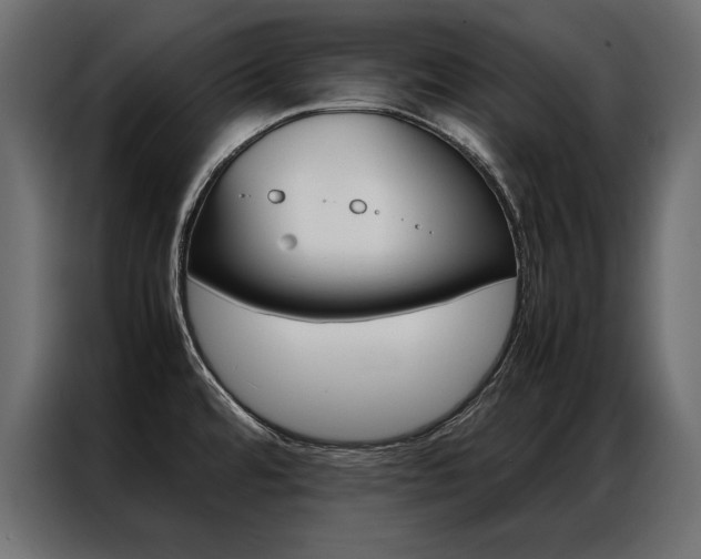 X0000086941480200704161024