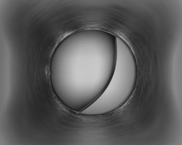 X0000086941481200704161024