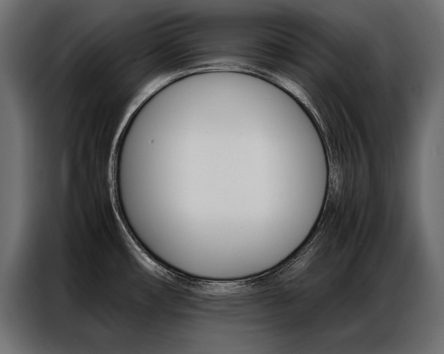 X0000086941482200704161024