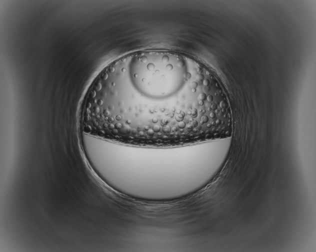 X0000086941483200704161024