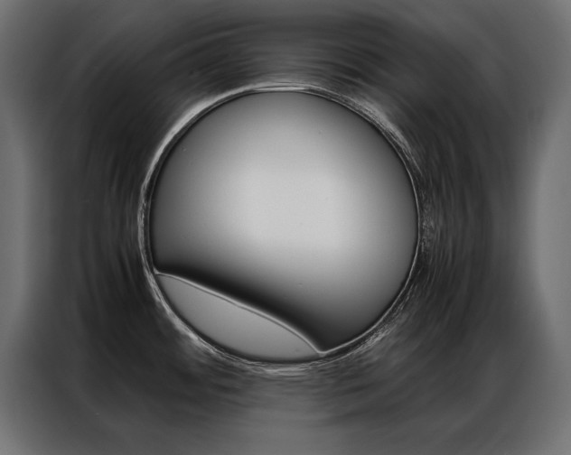 X0000086941484200704161024