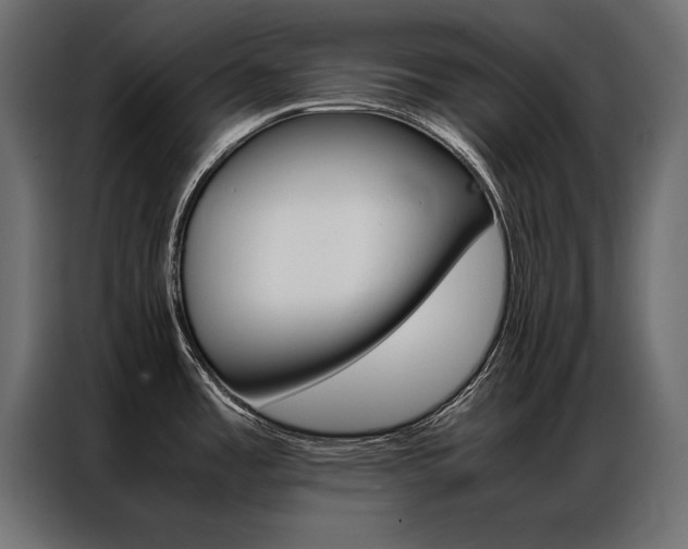 X0000086941485200704161024
