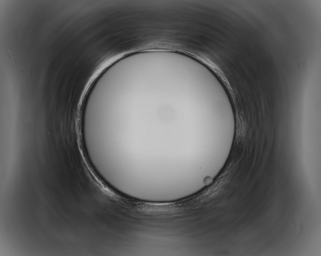 X0000086941486200704161024