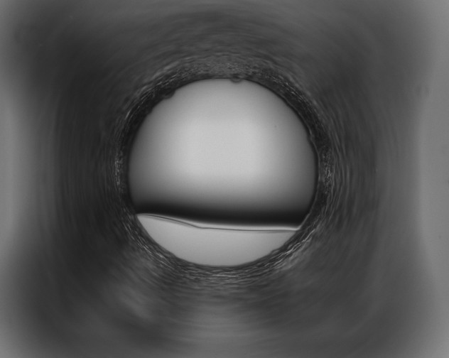 X0000086941490200704161023