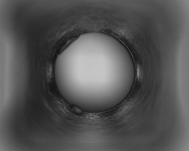 X0000086941492200704161023