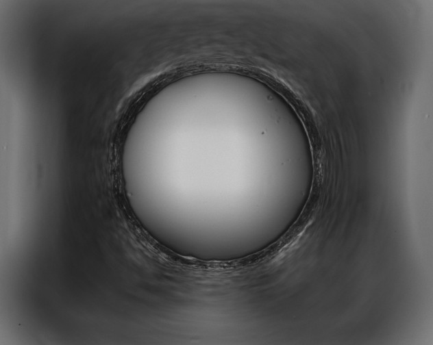 X0000086941494200704161023