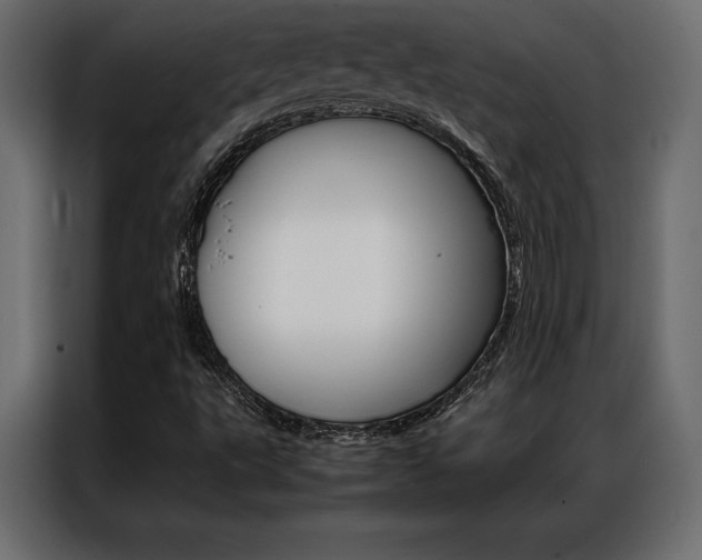 X0000086941495200704161023