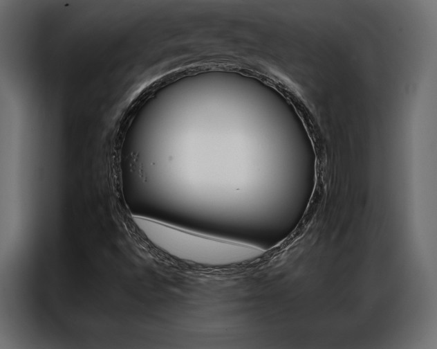 X0000086941496200704161023