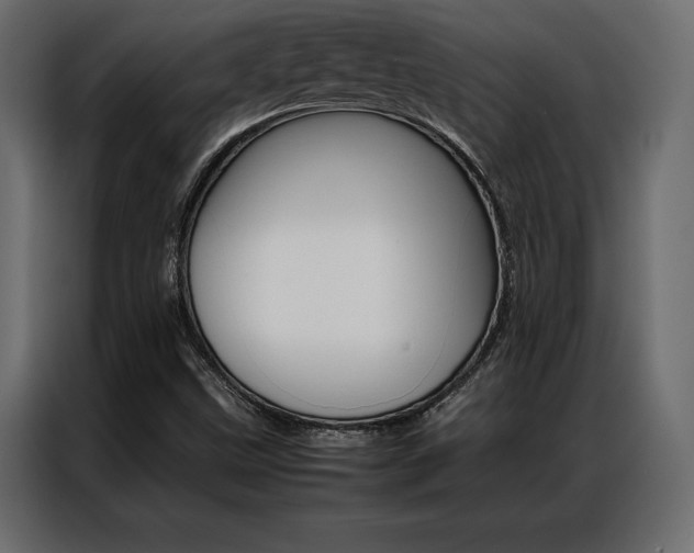 X0000086941499200704161023