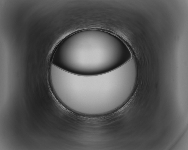 X0000086941500200704161023