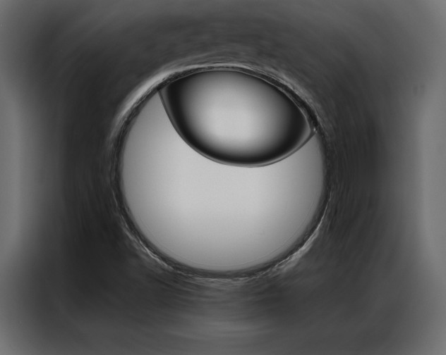 X0000086941502200704161023