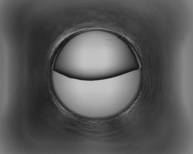 X0000086941503200704161023