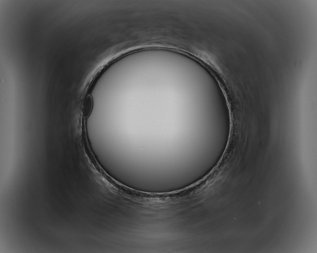 X0000086941504200704161023
