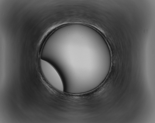 X0000086941507200704161023
