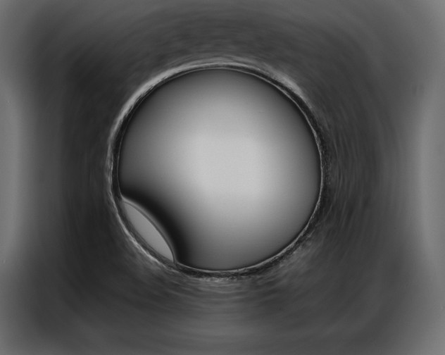 X0000086941508200704161023
