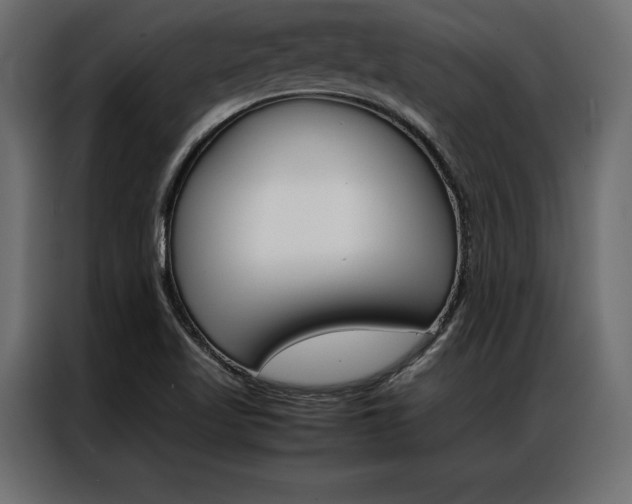 X0000086941509200704161023