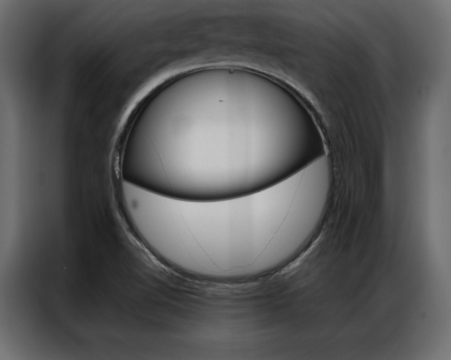 X0000086941510200704161023