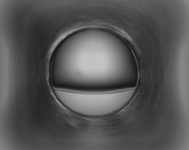 X0000086941512200704161023