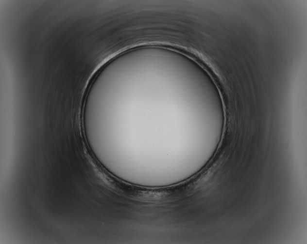 X0000086941513200704161023