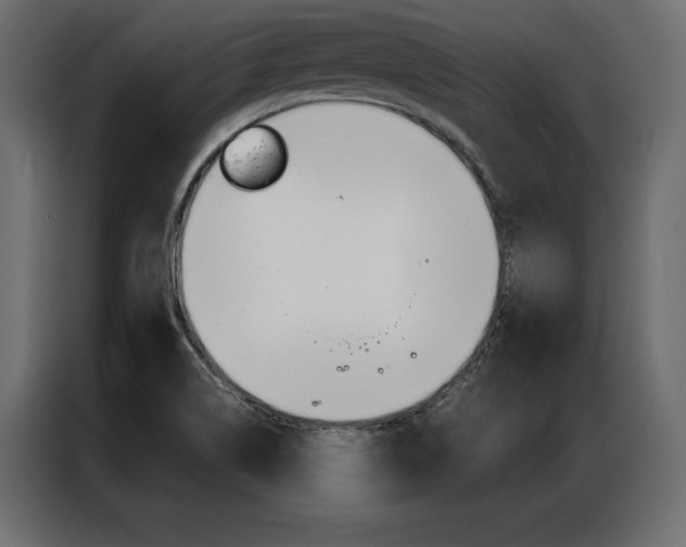 X0000086941514200704161023