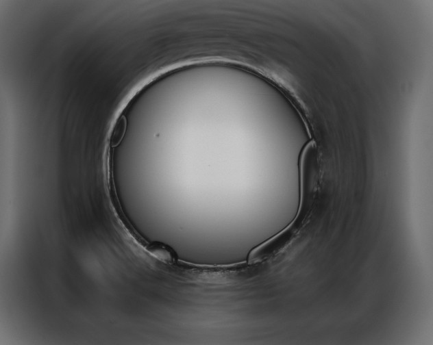X0000086941516200704161023
