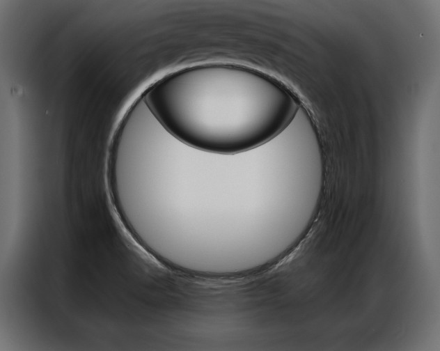 X0000086941518200704161023