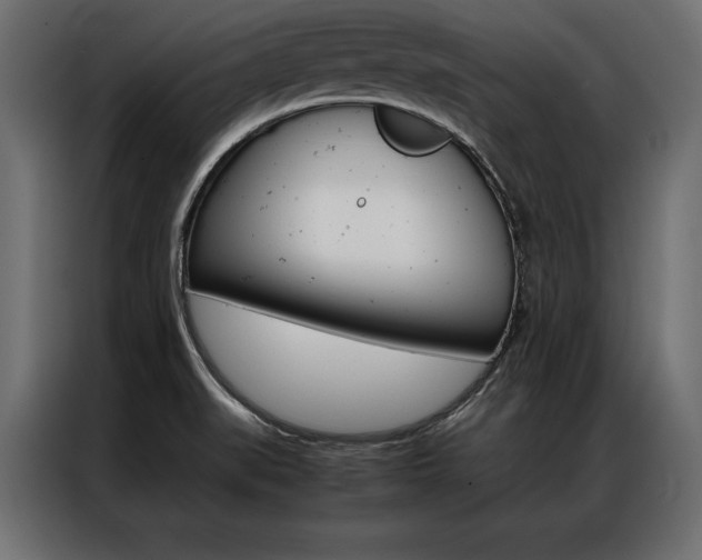 X0000086941519200704161023