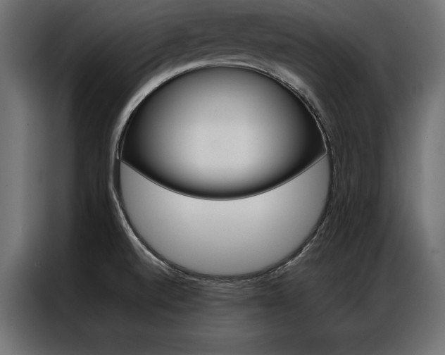 X0000086941520200704161023