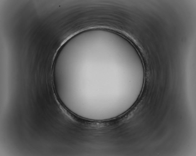 X0000086941521200704161023
