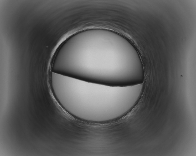 X0000086941522200704161023