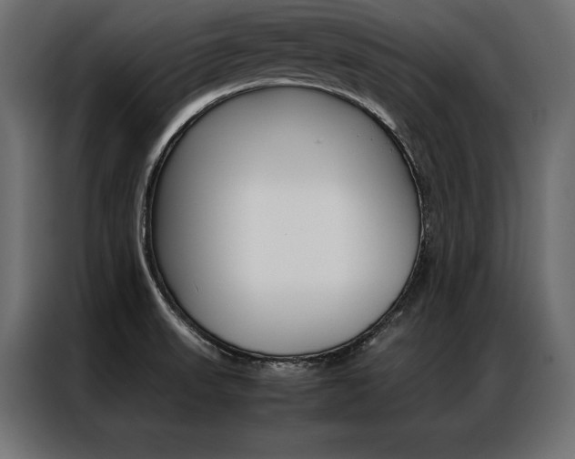 X0000086941523200704161023
