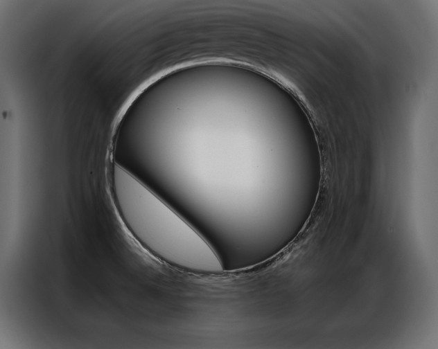 X0000086941524200704161023