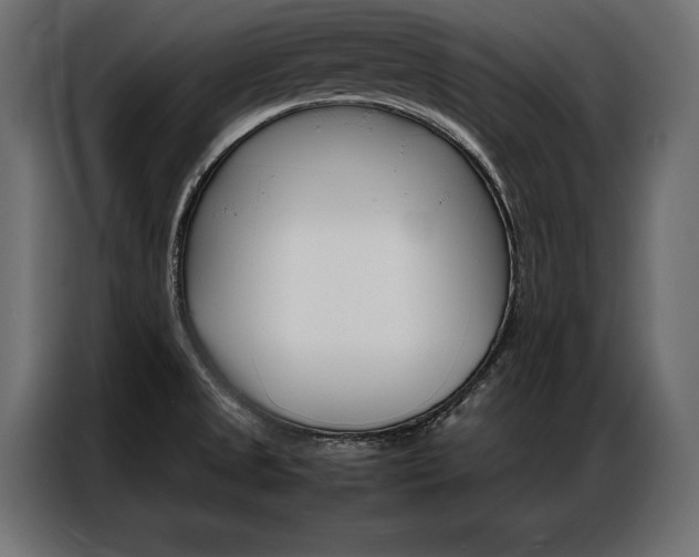 X0000086941525200704161023