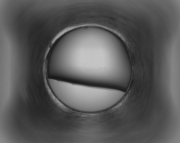 X0000086941526200704161023